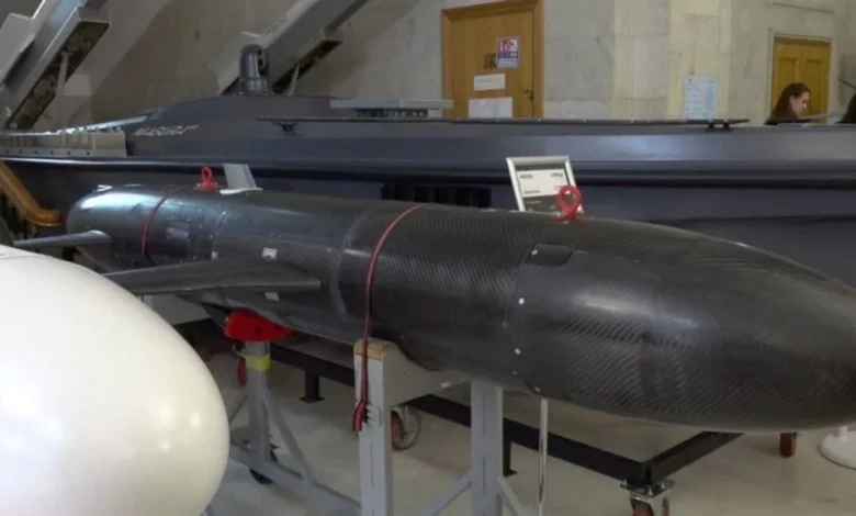 Ukrayna'dan stratejik hamle: Yerli Areion füzesi tanıtıldı