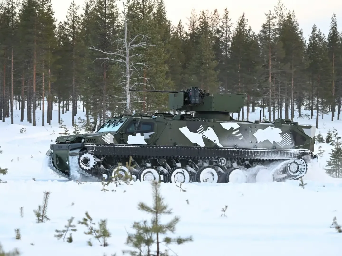 Arktik'te Kuzey ittifakı: Finlandiya ve İsveç'ten dev imza